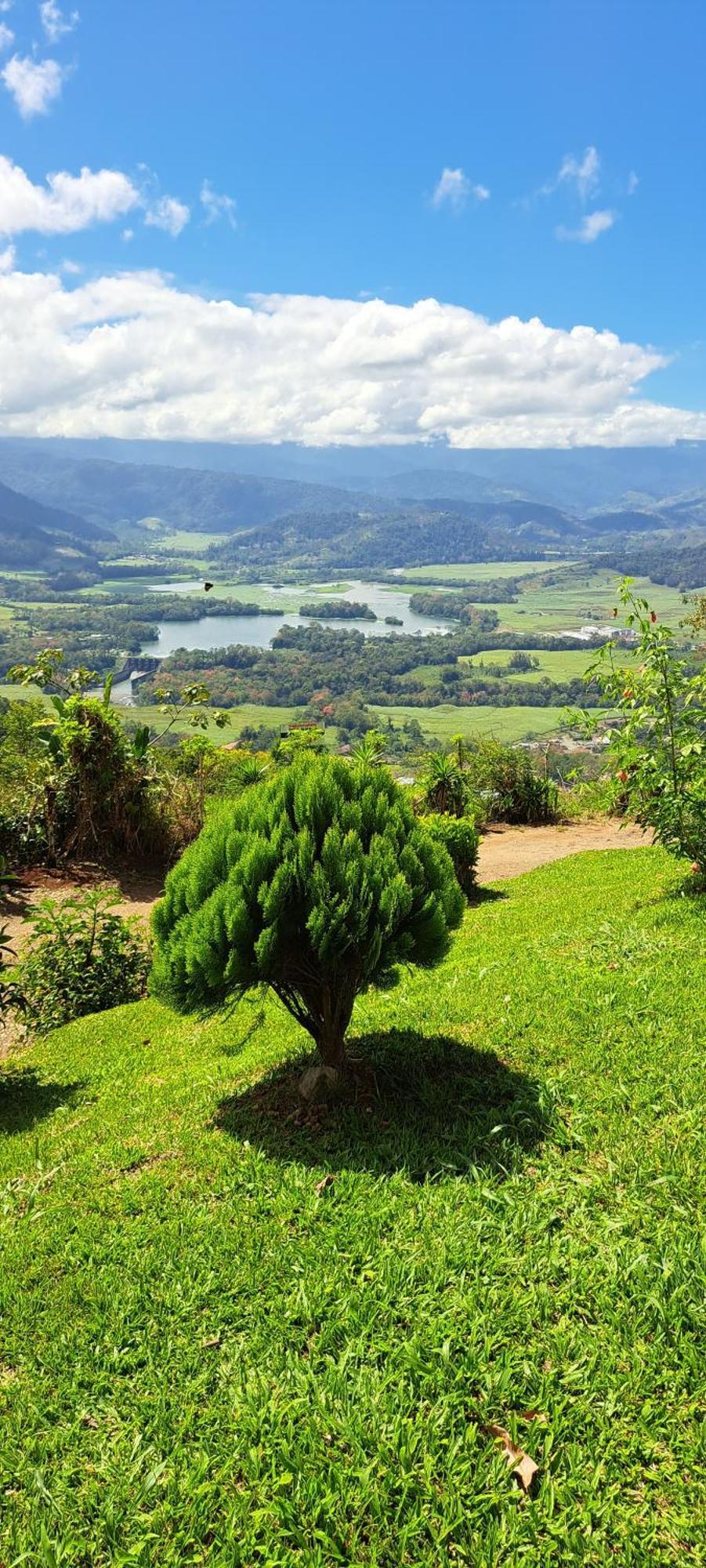 Pochotel Turrialba Værelse billede