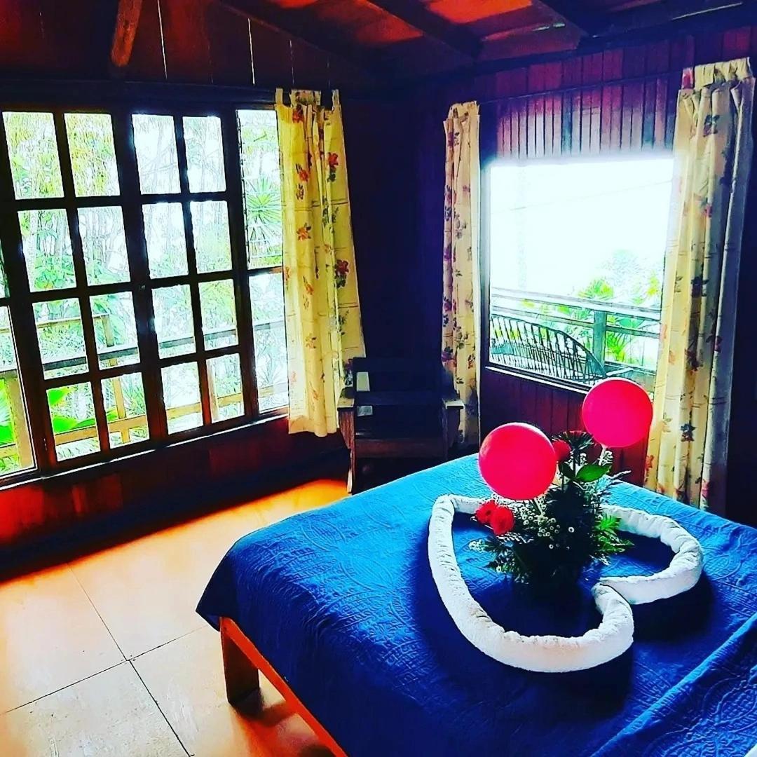 Pochotel Turrialba Værelse billede