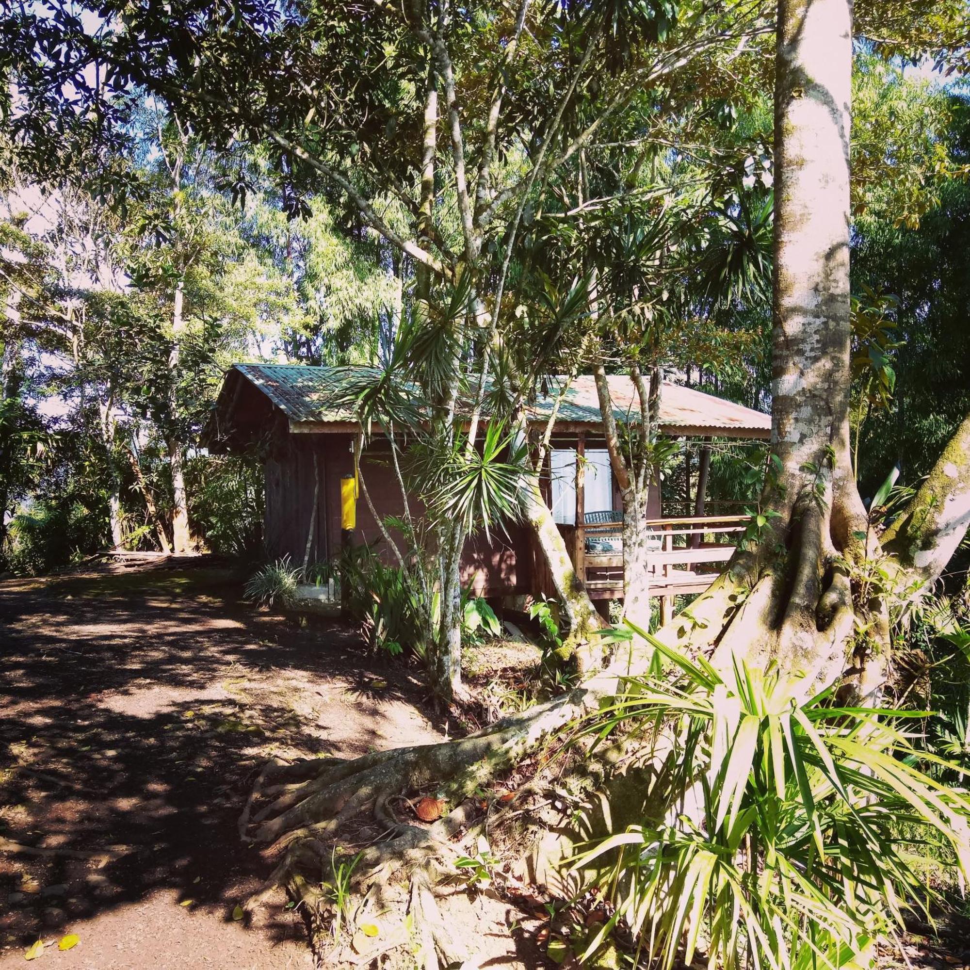 Pochotel Turrialba Værelse billede