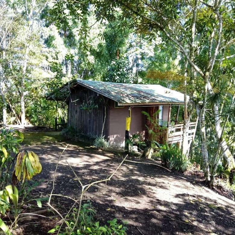 Pochotel Turrialba Eksteriør billede